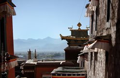 IMG_5929