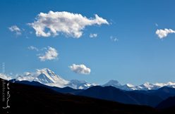 IMG_5986