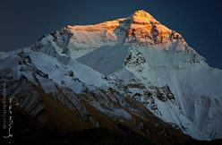 IMG_6272