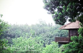 IMG_2833-Edit