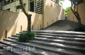 IMG_2952-Edit