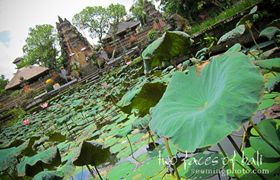 IMG_2992-Edit