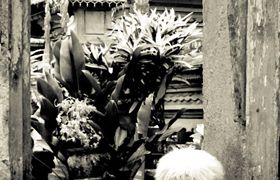 IMG_3003-Edit