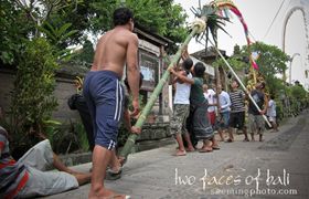 IMG_3024-Edit