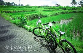 IMG_3129-Edit