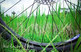 IMG_3170-Edit