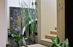 IMG_3336-Edit