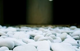 IMG_3395
